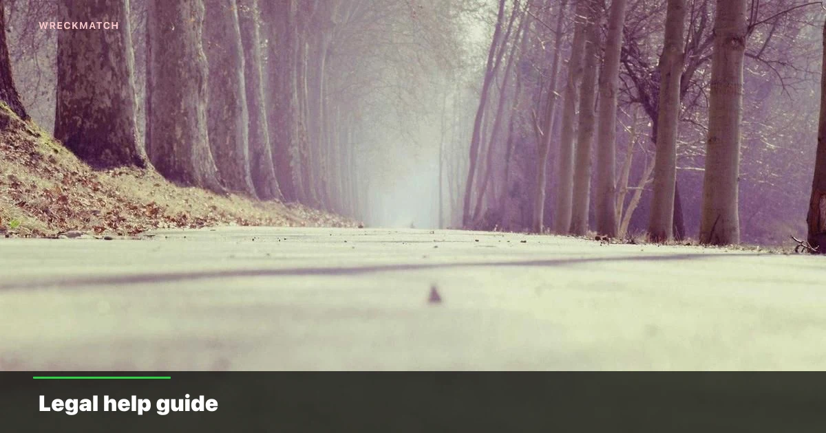 Car accident victim guide — WreckMatch