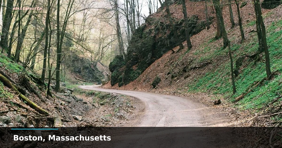 After a car crash guide — WreckMatch