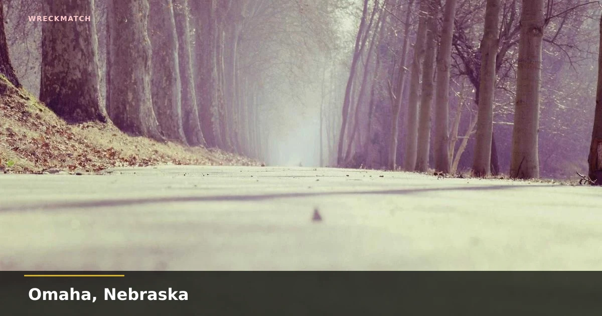 After a car crash guide — WreckMatch